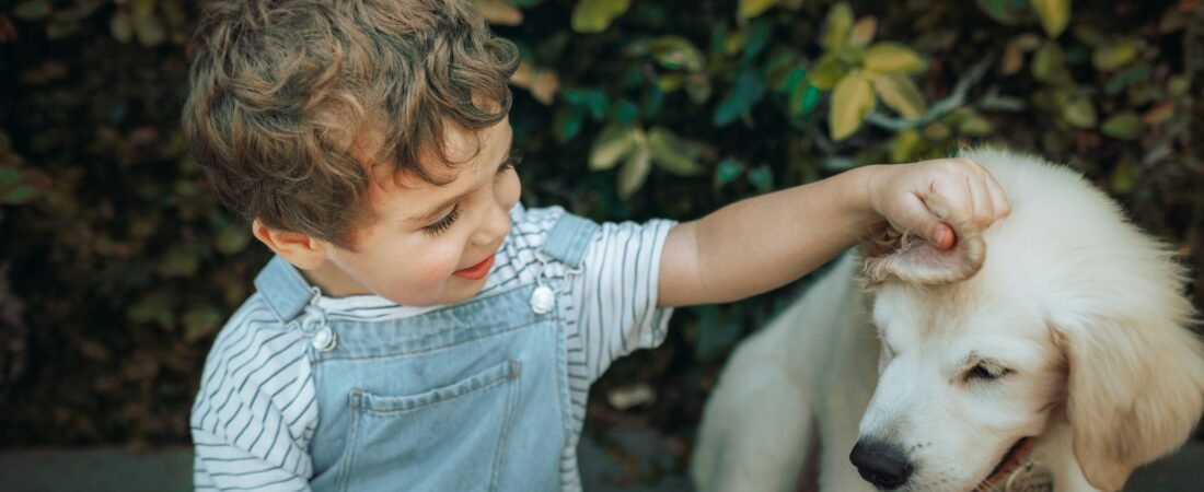 Le 10 Razze di Cani per Famiglie: Guida Completa e aggiornata 2026