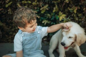 Le 10 Razze di Cani per Famiglie: Guida Completa e aggiornata 2026