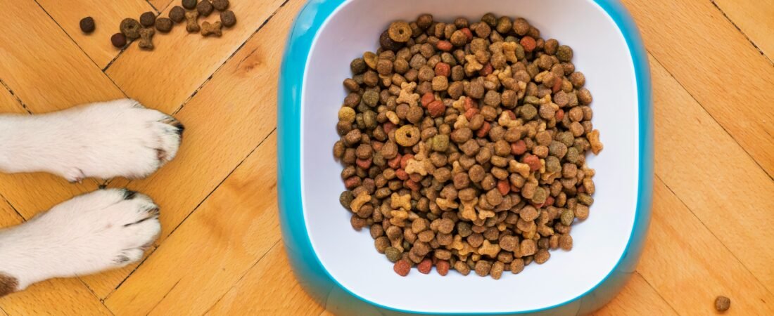 Crocchette per Cani: Guida Completa e aggiornata 2026