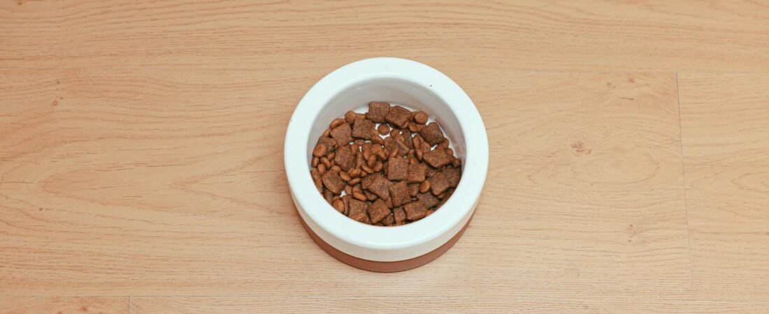 Migliori Crocchette per Cani: Confronto e Classifica 2026