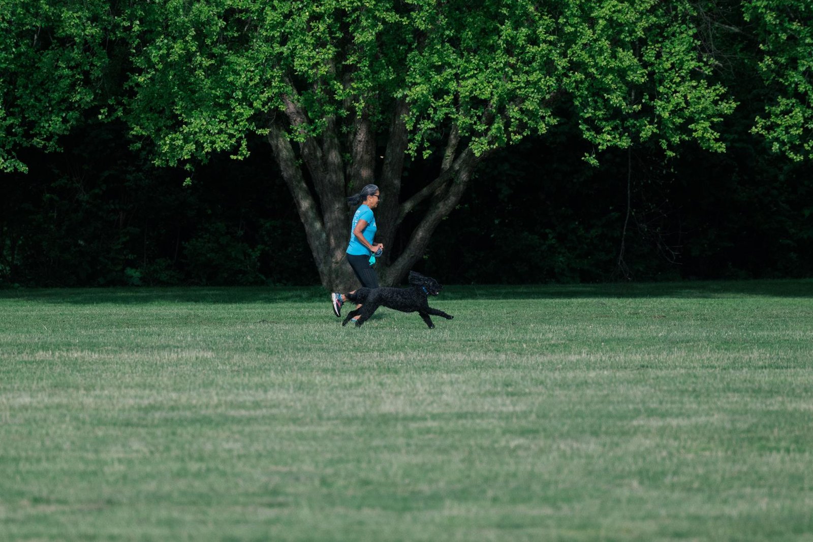 cane sano esercizio longevita