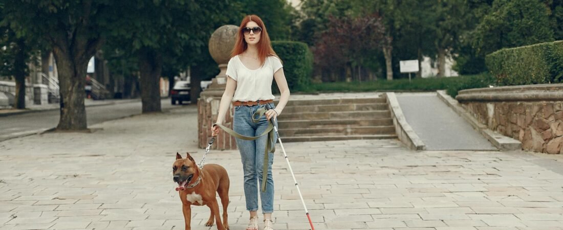 Come prendersi cura di un cane anziano: guida pratica