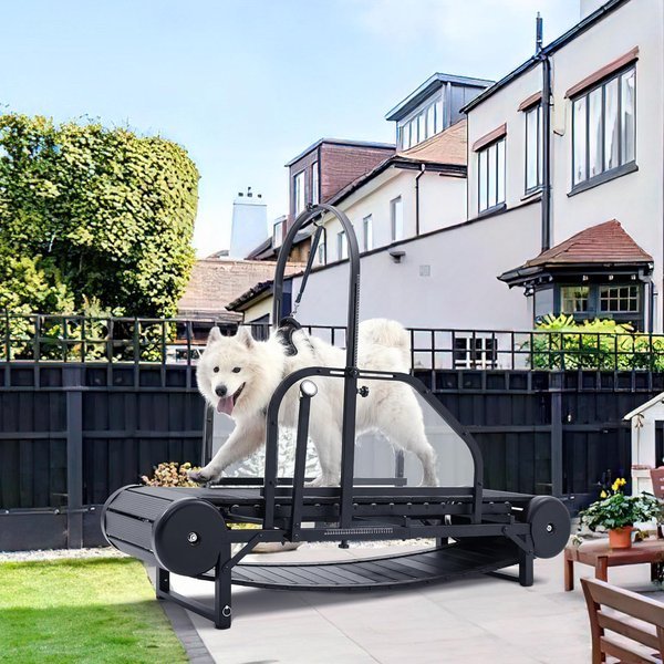 Tapis roulant per cani di taglia grande con rampa regolabile e pedometro