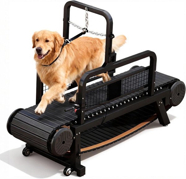 RiveraSink slatmill tapis roulant autopropulsivo per cani medi e grandi