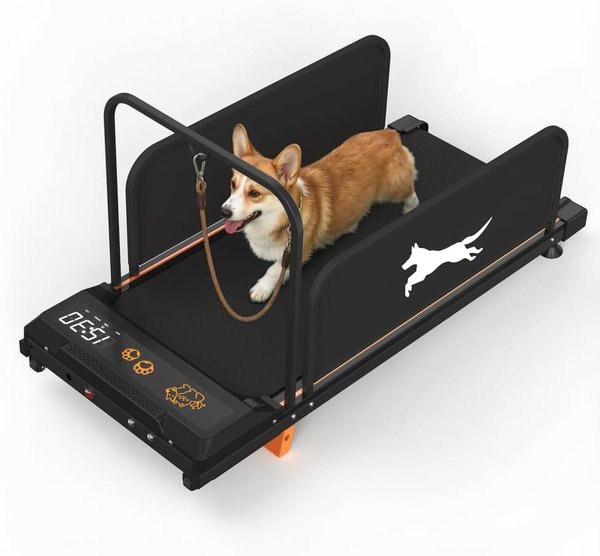 Tapis roulant per cani silenzioso smart a velocità regolabile