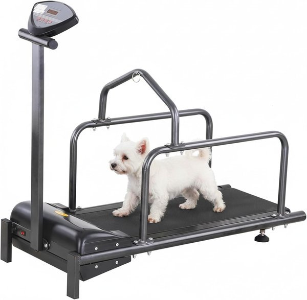 vanenferse tapis roulant per cani di piccola taglia con schermo LCD