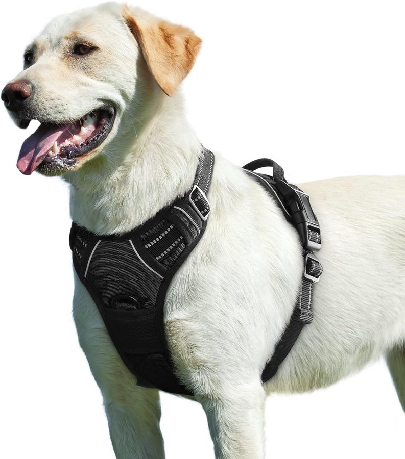 Pettorina Eagloo ad H anti tiro nera per cani taglia L