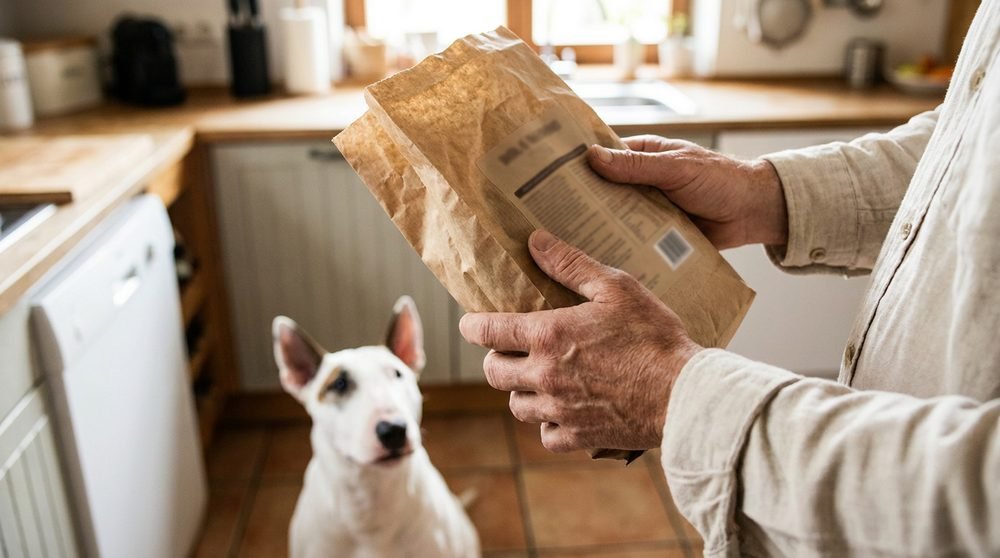 Crocchette per cane con dermatite: il pet parent legge l'etichetta della confezione accanto al Bull Terrier